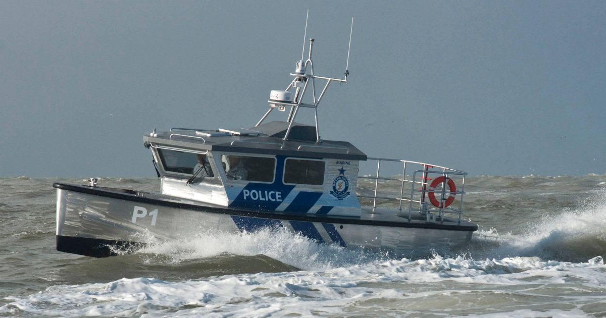 Bino fender profile Bino fender profile